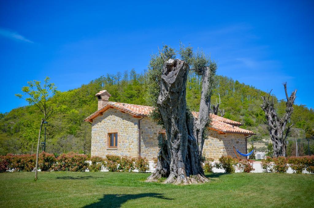 Tenuta Borgo Santa Cecilia Gubbio Extérieur photo